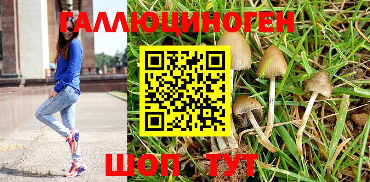 Псилоцибиновые грибы GOLDEN TEACHER Тихвин